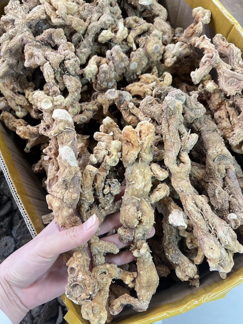 野生黄精大量供应