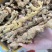 野生黄精大量供应