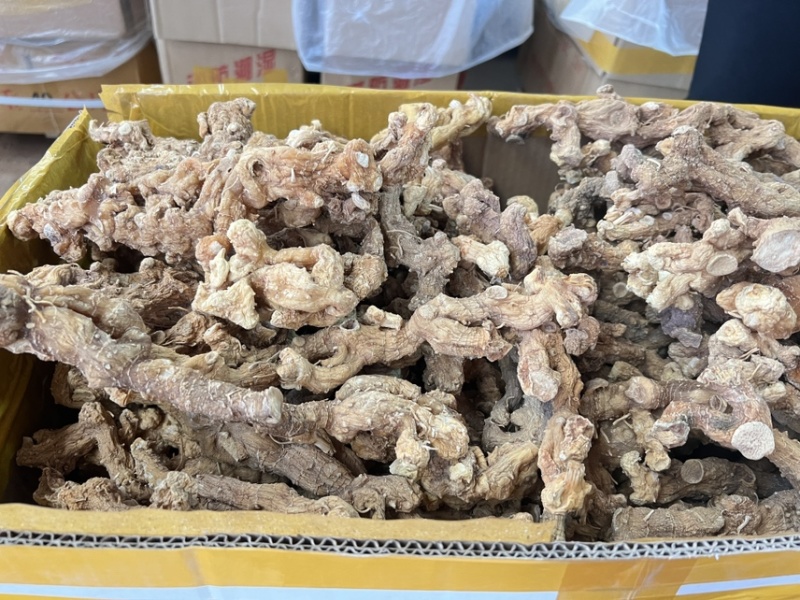 野生黄精大量供应