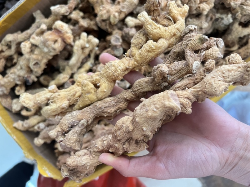 野生黄精大量供应