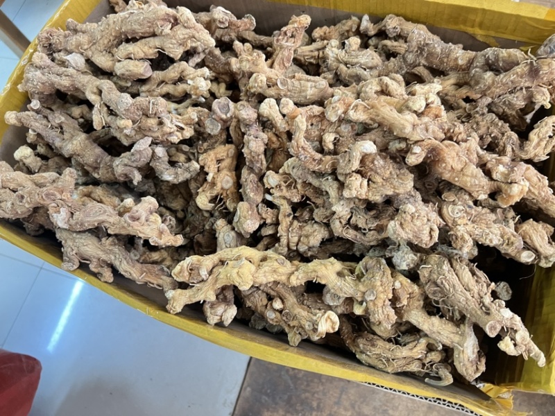 野生黄精大量供应