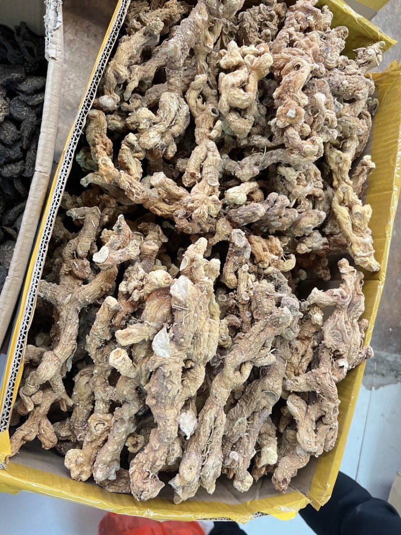 野生黄精大量供应