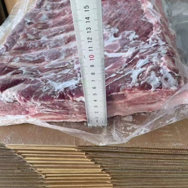 精修母猪带皮五花