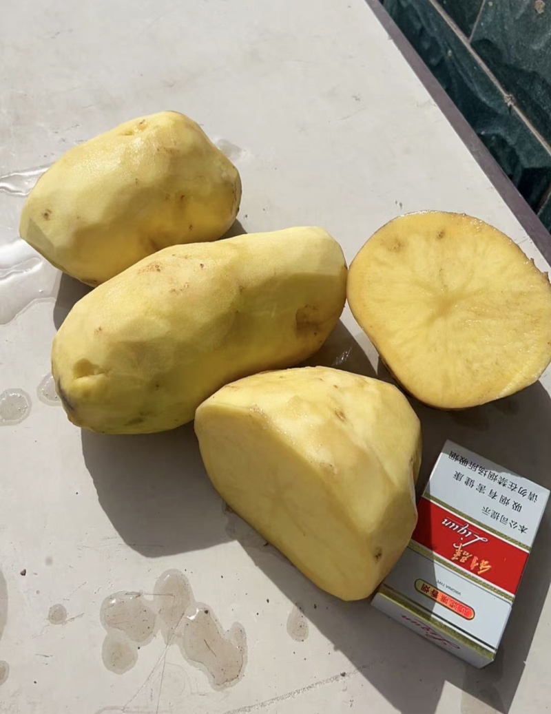精品精选黄皮黄心希森六号，品质优选，售后无忧。