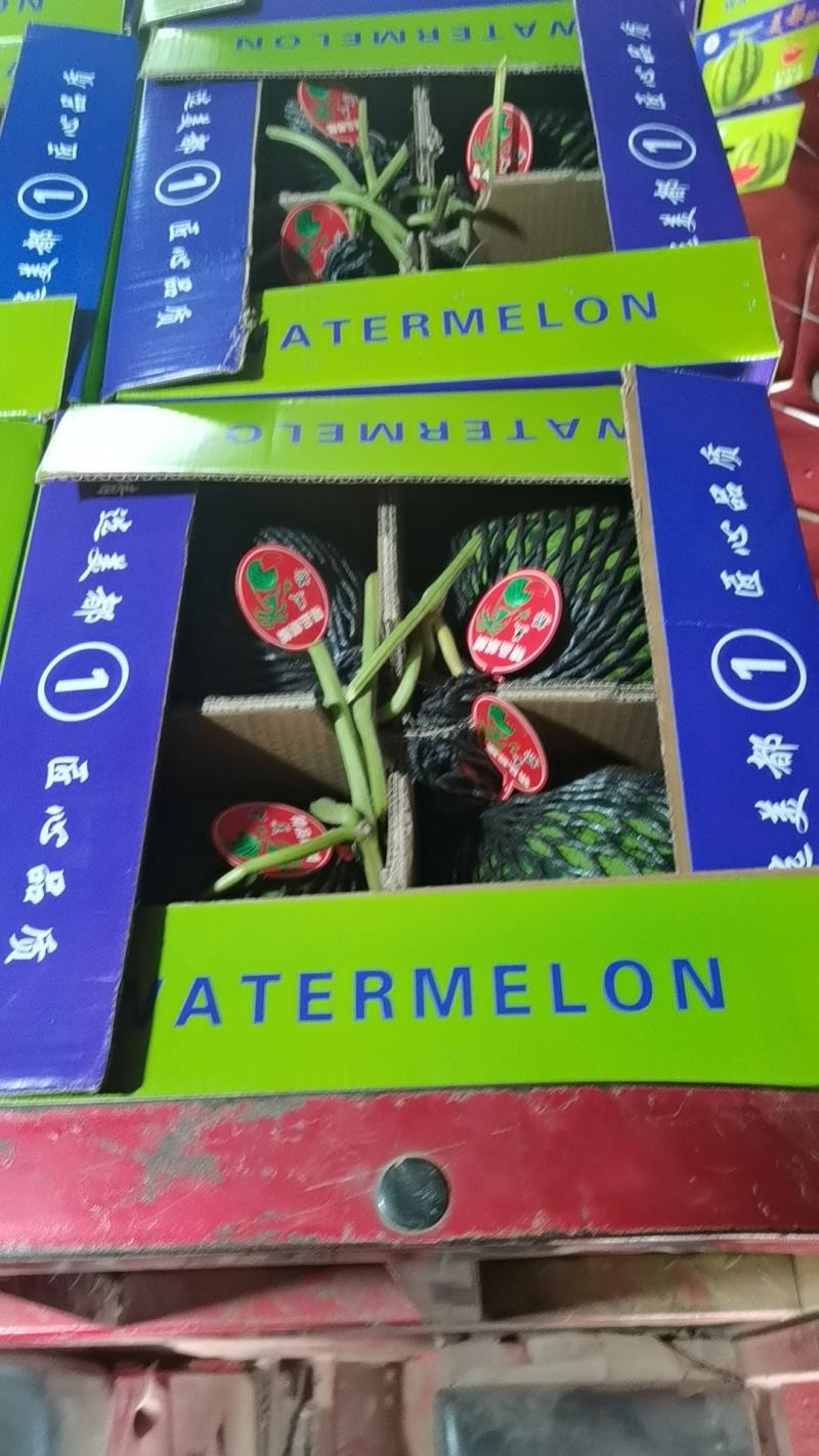 麒麟美都西瓜大量上市价格合理质量三包口感脆甜电话联系瓜好