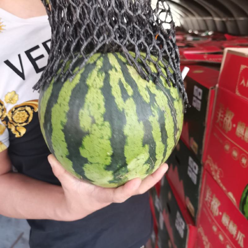 麒麟美都西瓜大量上市价格合理质量三包口感脆甜电话联系瓜好