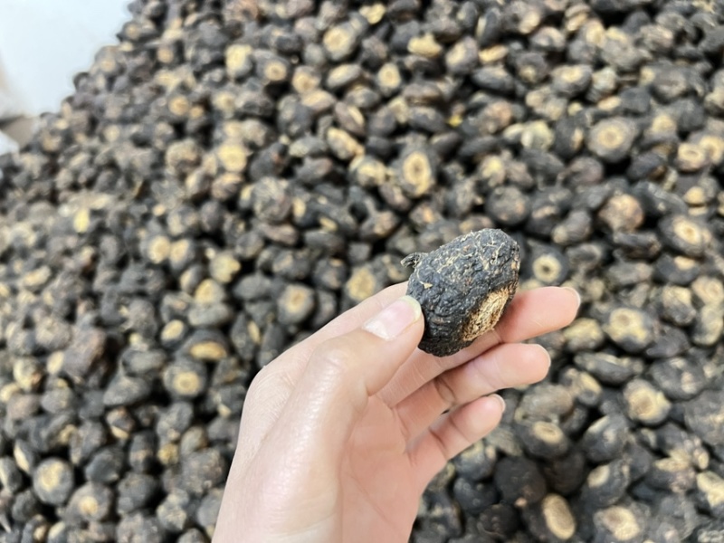 玛咖压果2025玛咖新货海量库存