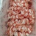 小排谷饲肥牛