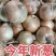 【黄皮洋葱】河北产地直发自种自存精品全国发货