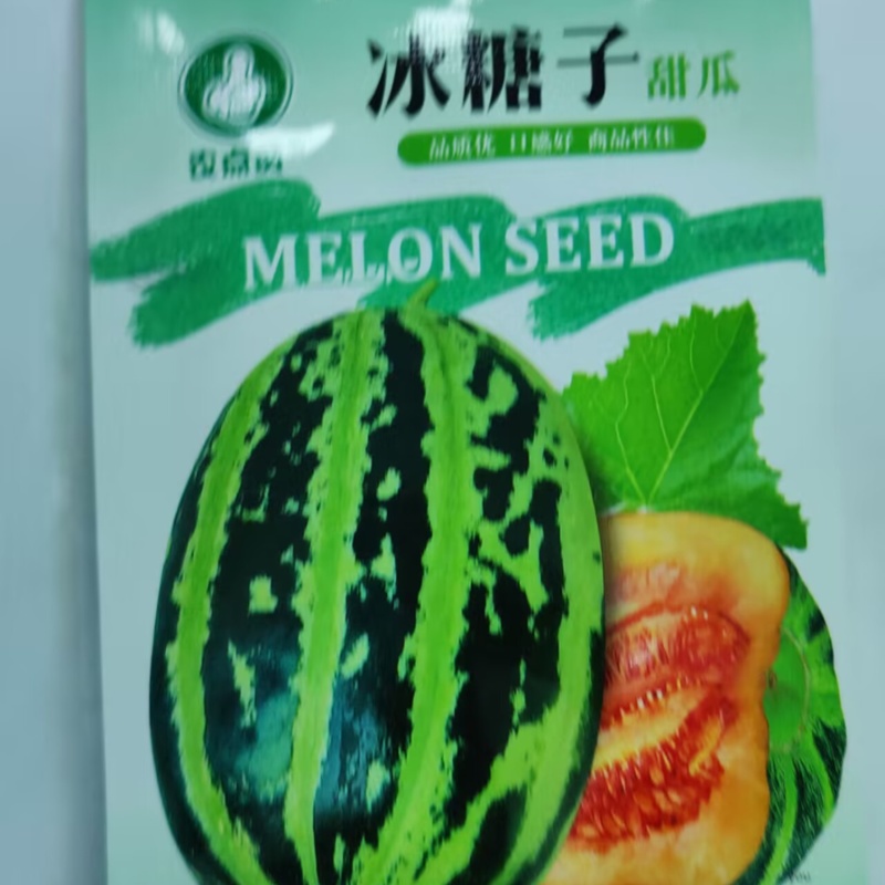 冰糖子甜瓜种子-中早熟丰产抗病又香又甜当季新种