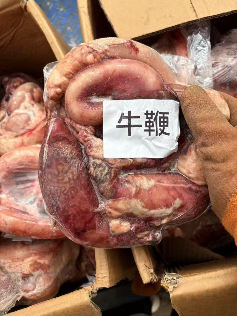 牛鞭宝，纯干没油，可大量加工价格合适需要可提前报单