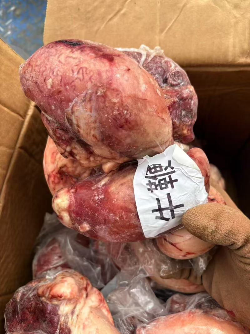 牛鞭宝，纯干没油，可大量加工价格合适需要可提前报单