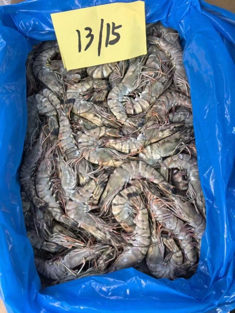 黑虎虾超大13-15规格，2斤装可一件代发