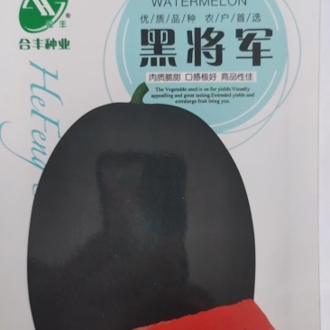 黑将军-黑皮西瓜种子黑皮红肉甜脆多汁有沙又甜耐高温