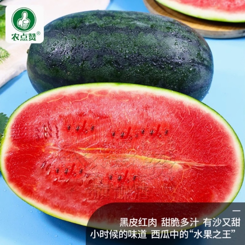 黑将军-黑皮西瓜种子黑皮红肉甜脆多汁有沙又甜耐高温