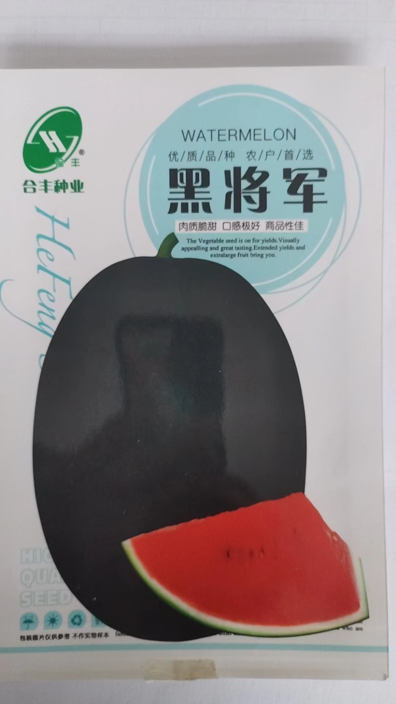 黑将军-黑皮西瓜种子黑皮红肉甜脆多汁有沙又甜耐高温