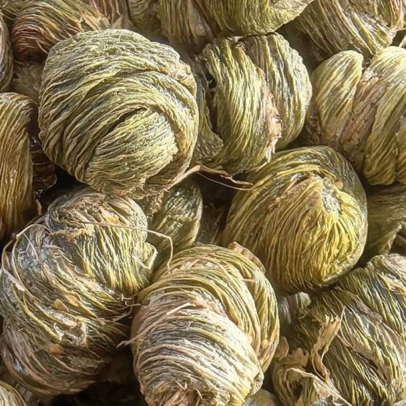 紫皮枫斗