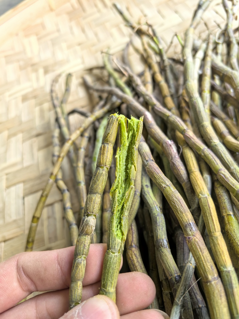 铁皮鲜条
