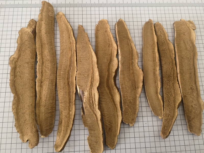 灵芝，灵芝片，灵芝仙草选片关书药材桟品质保证量大从优！