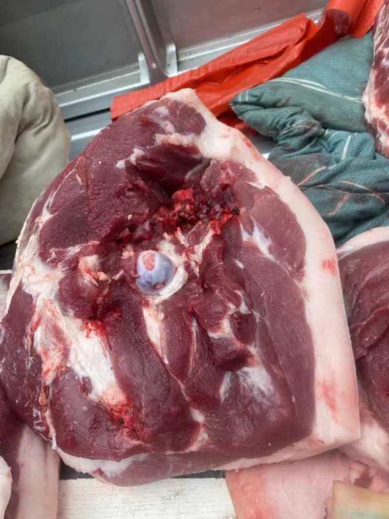 生态黑猪肉，整头批发，全国发货货源充足诚信经营欢迎咨询