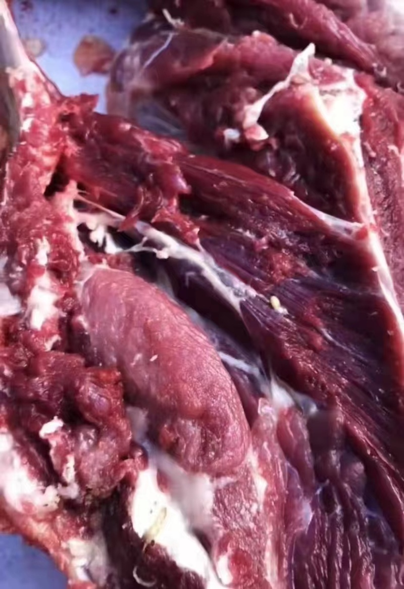 生态黑猪肉，整头批发，全国发货货源充足诚信经营欢迎咨询