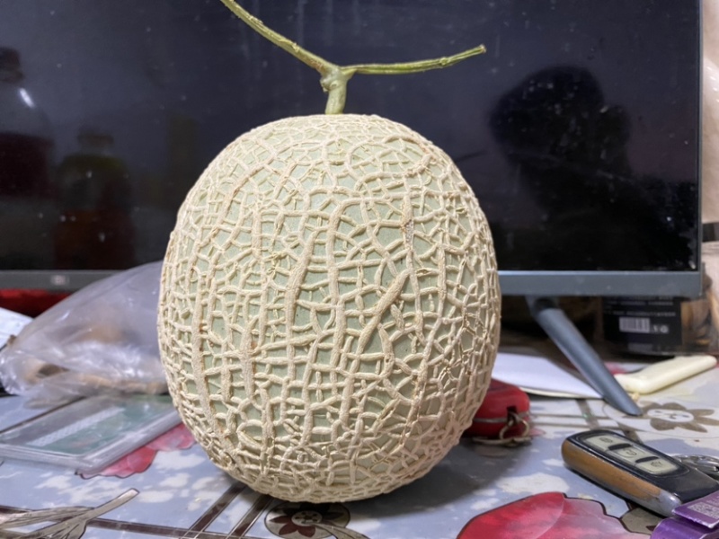 网纹瓜、鲁厚甜
