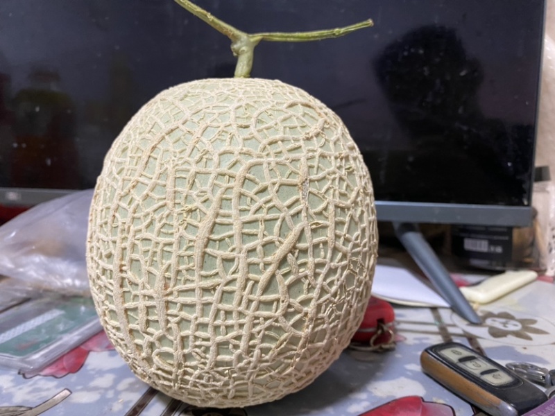网纹瓜、鲁厚甜