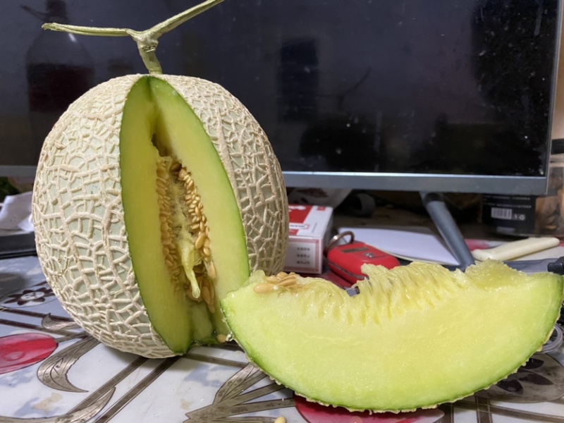 网纹瓜、鲁厚甜