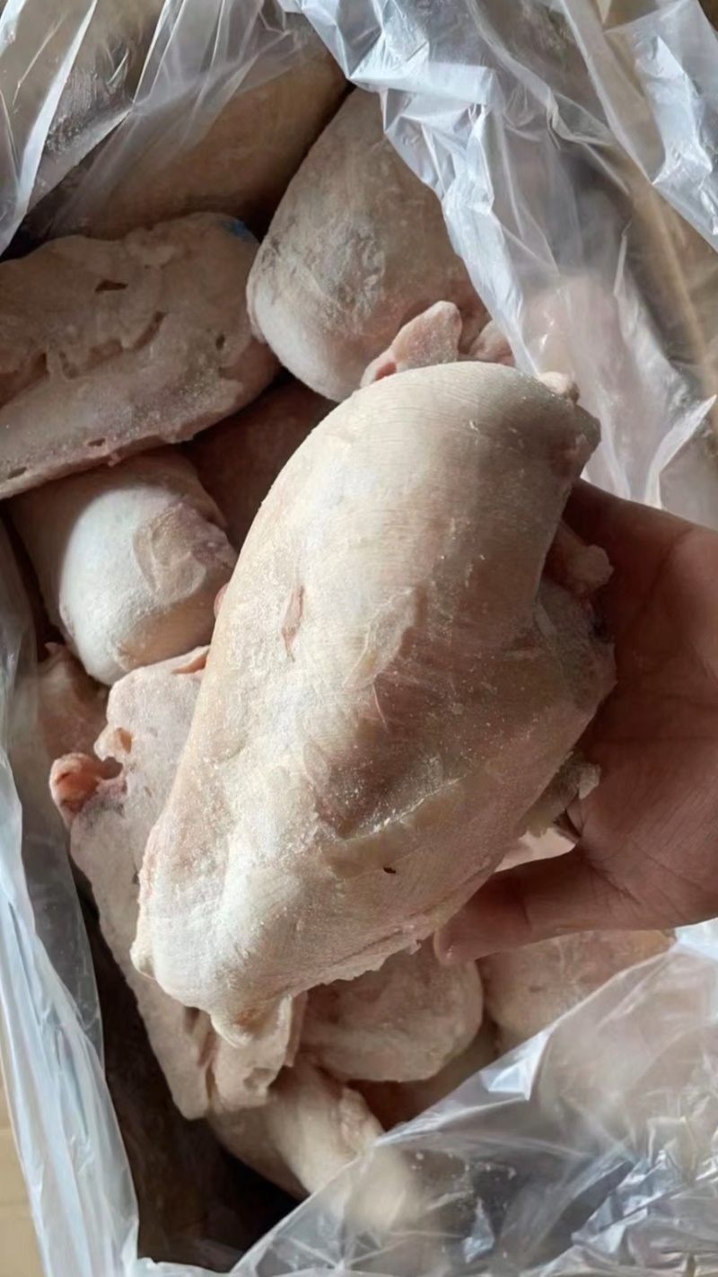 太合精品冷冻特级鸡大胸鸡脯肉鸡胸肉厂家直发