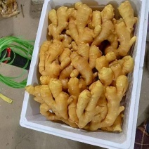 【鲜姜】大黄姜水洗姜风干姜基地直供