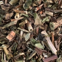 黄花败酱草【包邮】三斤起发货可批量可零售量大从优