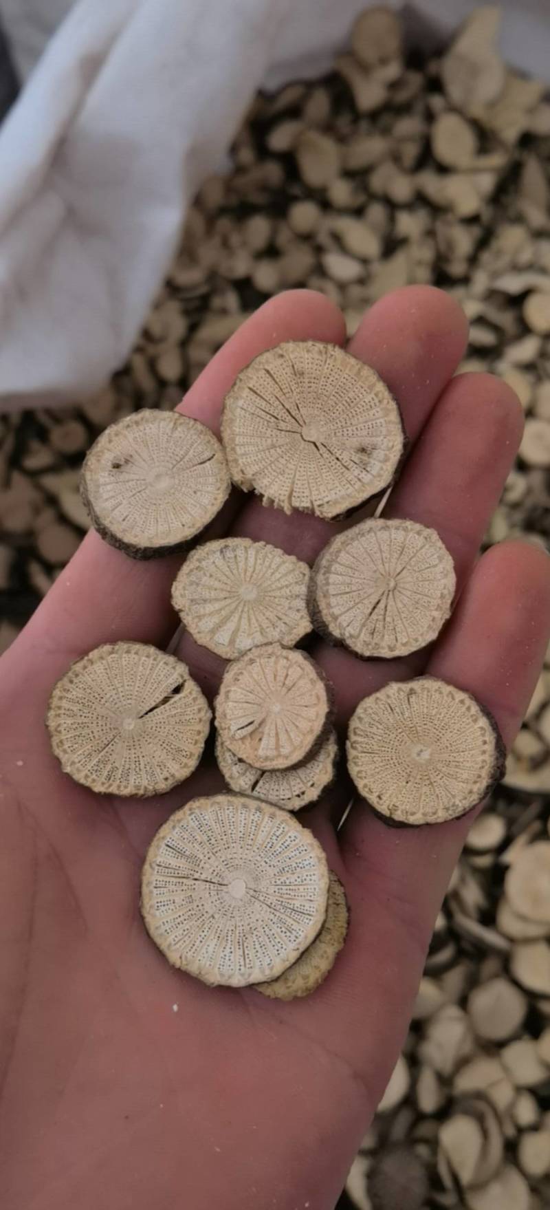 青风滕选无硫选片关书药材桟品质保证量大从优