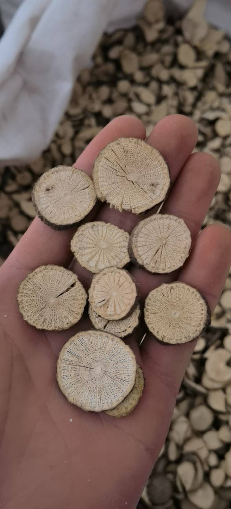 青风滕选无硫选片关书药材桟品质保证量大从优