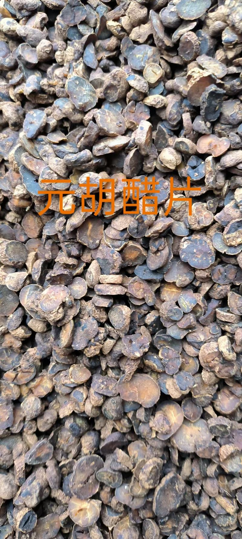 陕西汉中元胡个子元胡片常年现货供应醋治元胡
