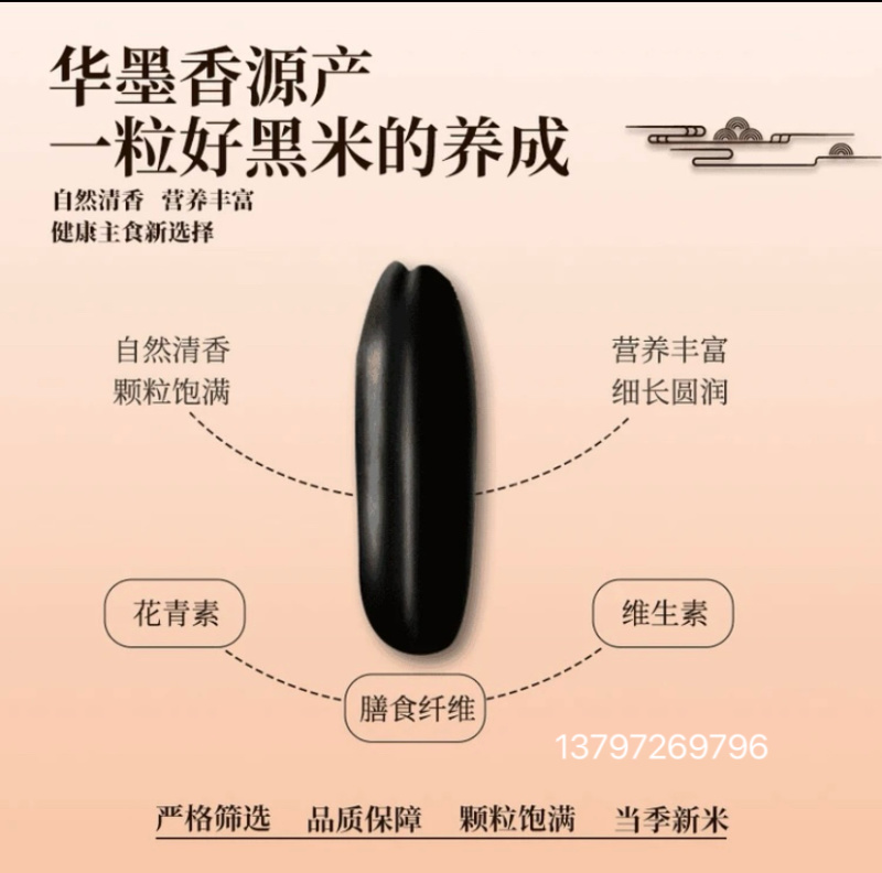 全谷米饭型黑米500g装（一件代发）有机产品，真空包装