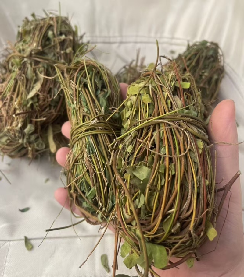 鸡骨草新鲜干净小扎把质量保证价格美丽
