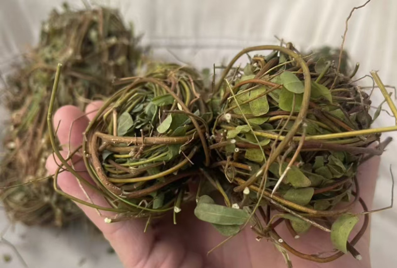 鸡骨草新鲜干净小扎把质量保证价格美丽