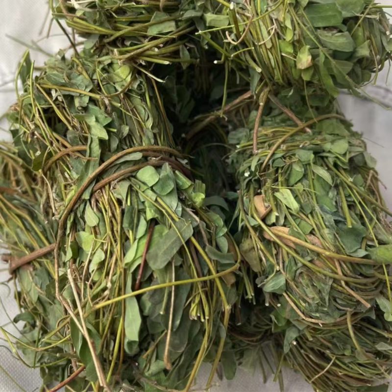 鸡骨草新鲜干净小扎把质量保证价格美丽
