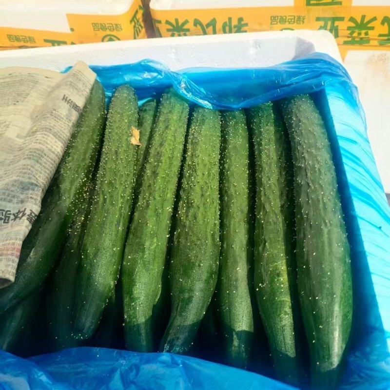 精品黄瓜