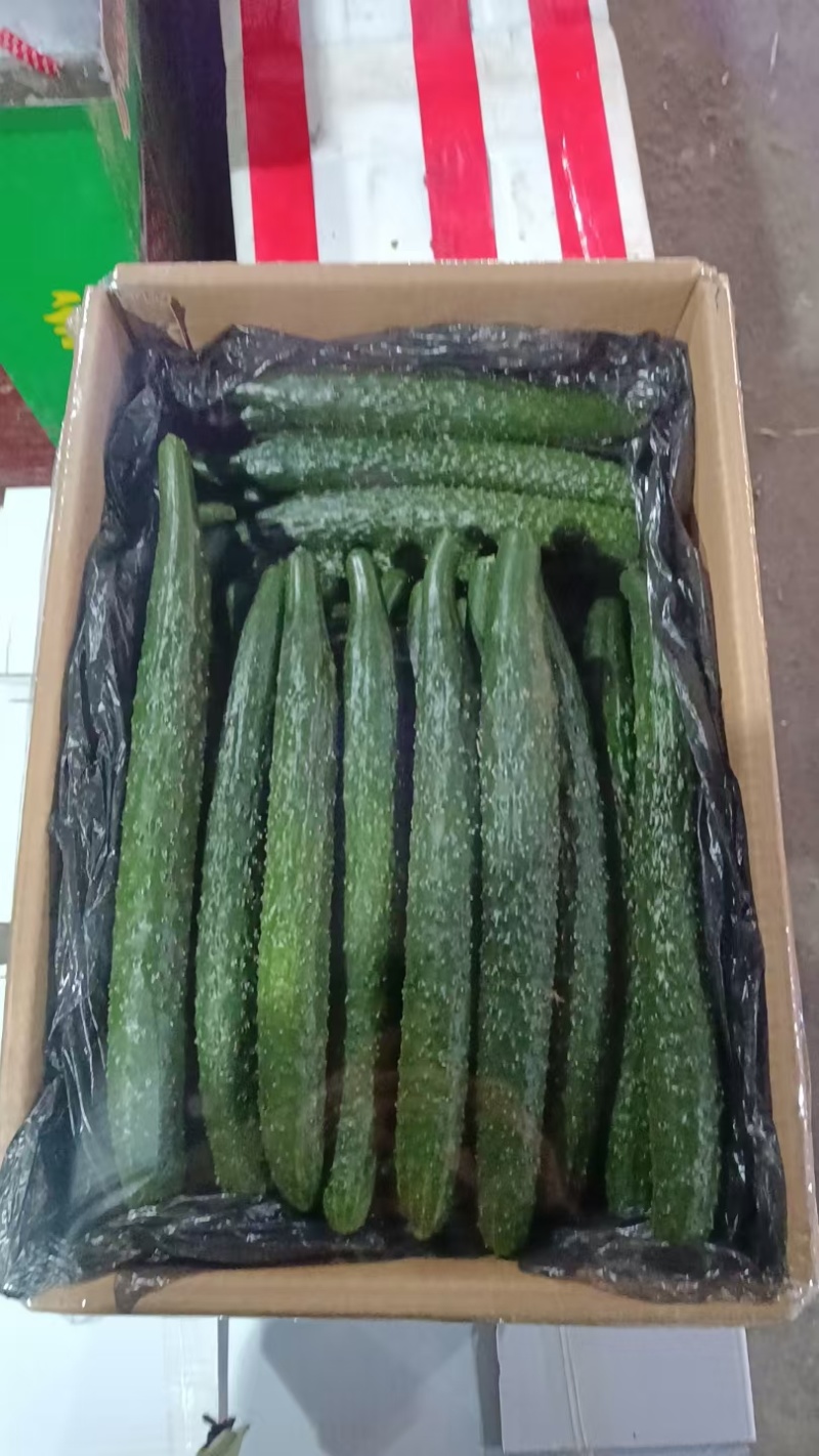 精品黄瓜