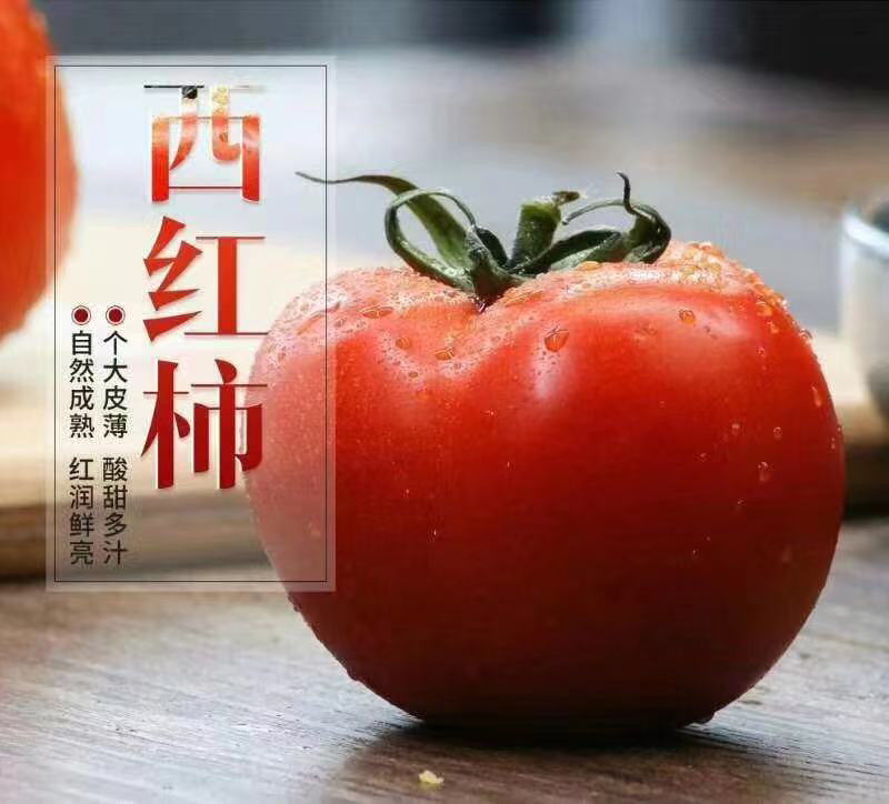 温室大棚普罗旺斯大量上市，这里是种植基地，一手货源。