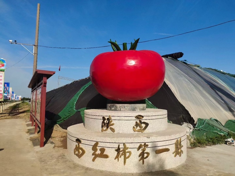 温室大棚普罗旺斯大量上市，这里是种植基地，一手货源。