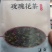 东北大兴安岭野生玫瑰花干花泡茶刺玫刺梅果花茶产地直发