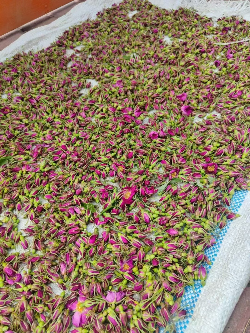 东北大兴安岭野生玫瑰花干花泡茶刺玫刺梅果花茶产地直发