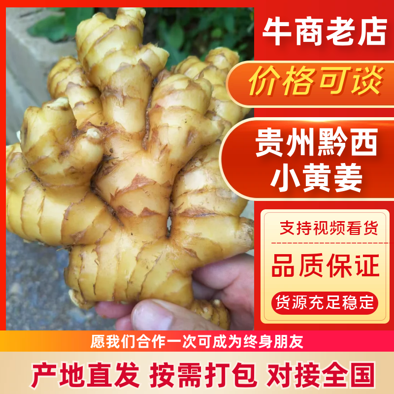 贵州小黄姜，云南小黄姜，市场，电商，现挖现发