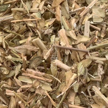 白花败酱草【包邮】三斤起发货可批量可零售量大从优