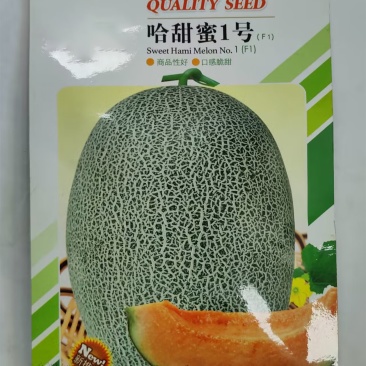 哈密瓜种子-脆甜爽口抗性强优质品种丰产抗病