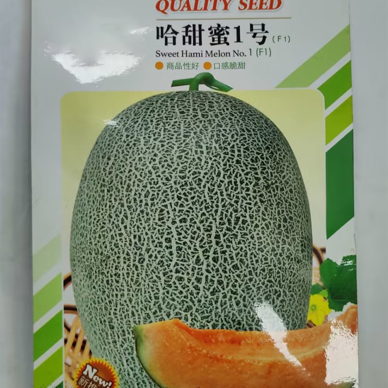 哈密瓜种子-脆甜爽口抗性强优质品种丰产抗病