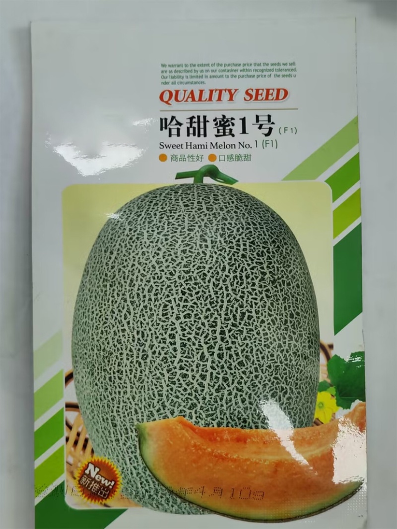 哈密瓜种子-脆甜爽口抗性强优质品种丰产抗病