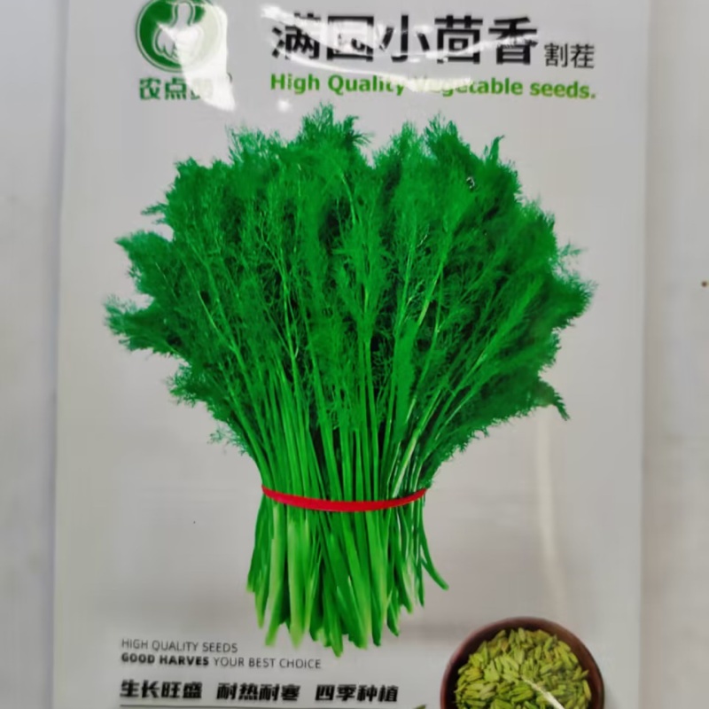 小茴香籽-可多次采收抗病性好生长期短再生能力强